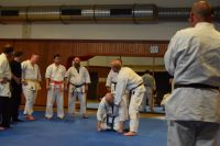 Bild (64)